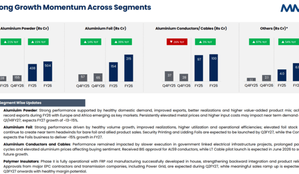 MMP segment wise performance